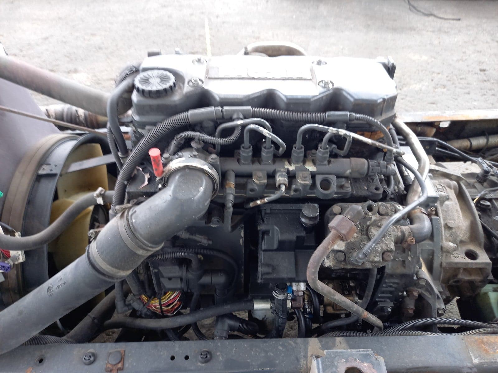 DAF 55 E5 - FR152V2