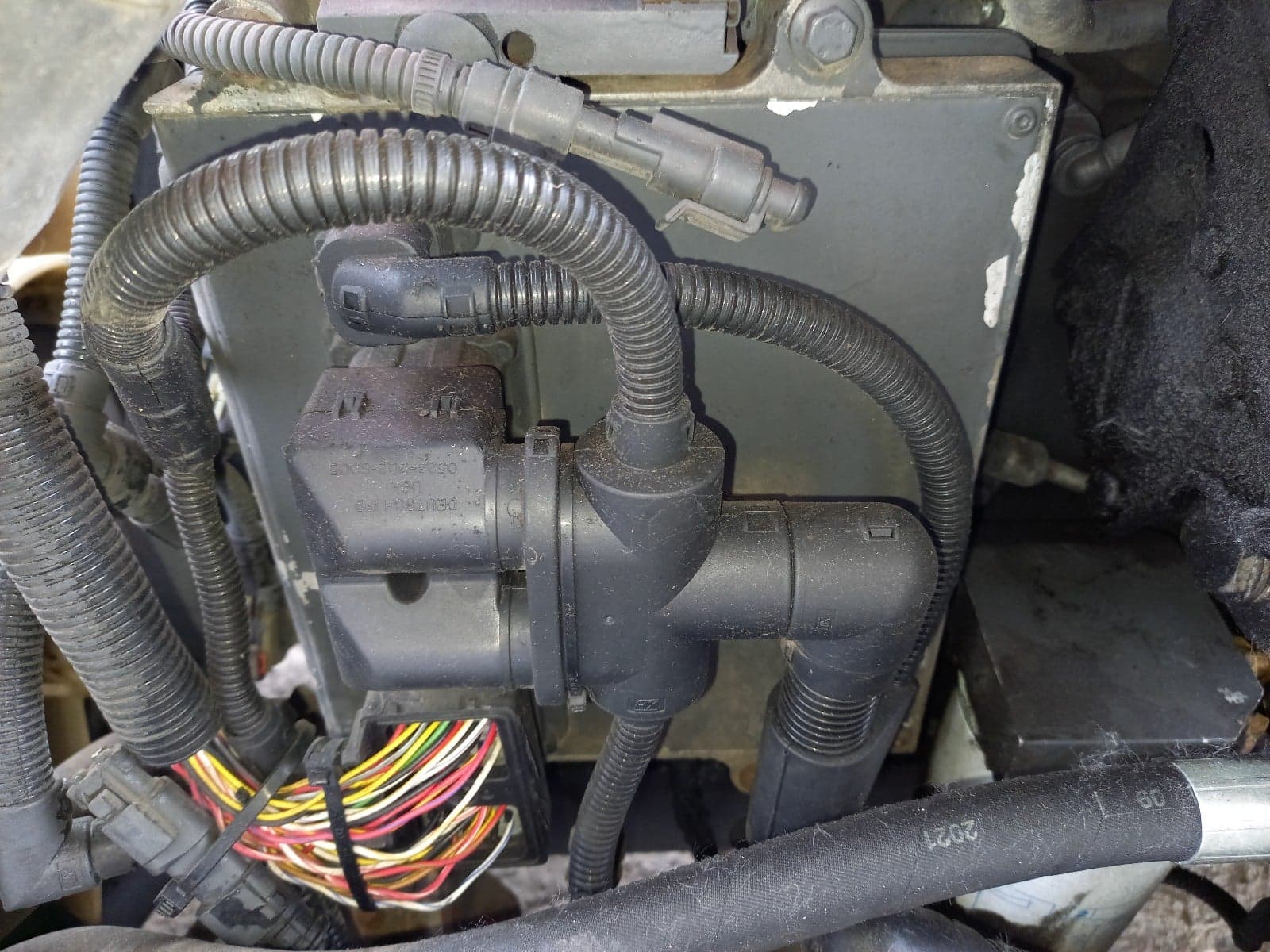 DAF 55 E5 - Main
