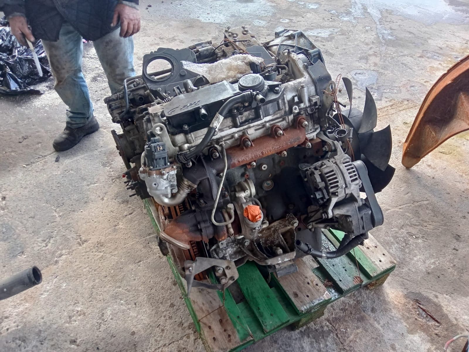 IVECO DAILY 2300CC - F1AE3481AO - Main