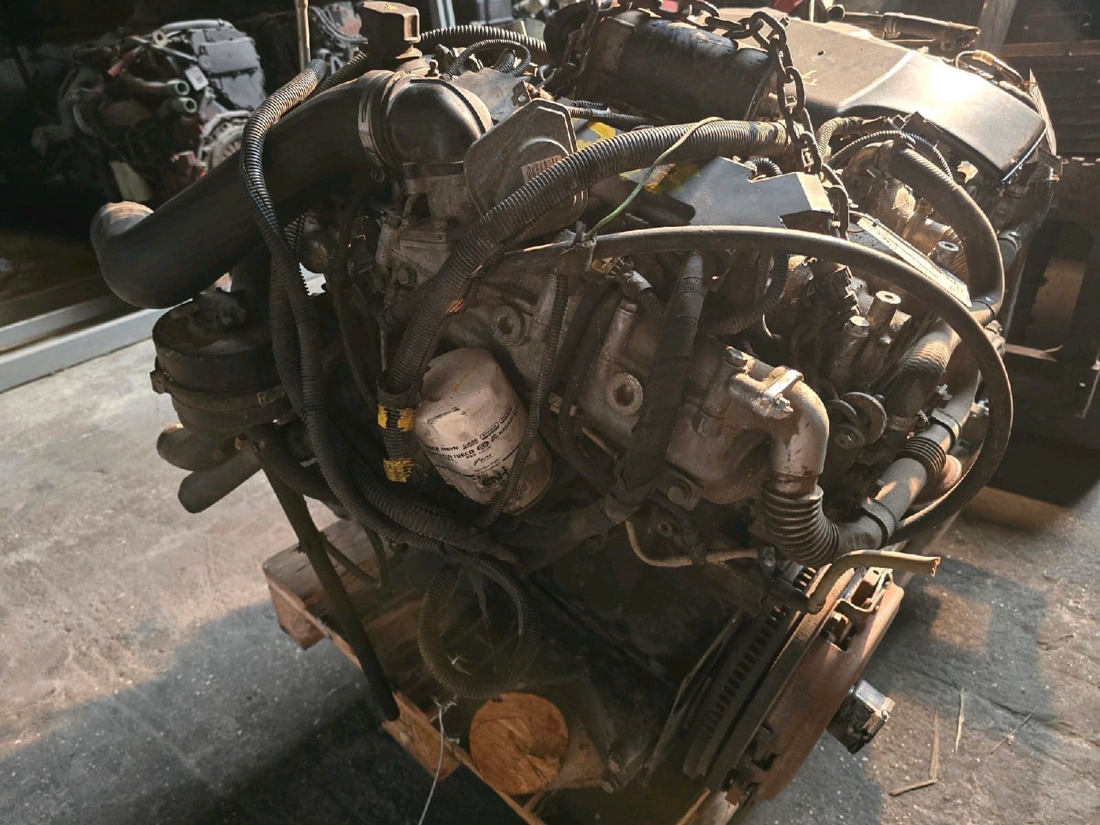 IVECO 65C15 - F1CE3481J - Main